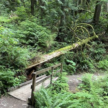 Twin Falls Trailhead - Hiking Near Me - North Bend, Washington