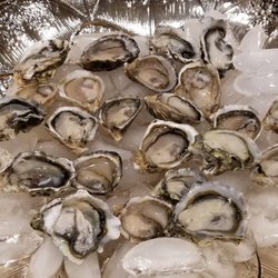 Washington State Seafood - 1 dozen Kusshi, 1 dozen Kumamoto