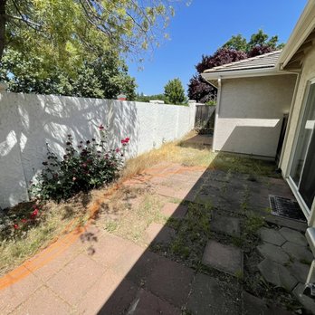 Divine Landscaping - Before - Landscaping Near Me - Huntington Beach , California