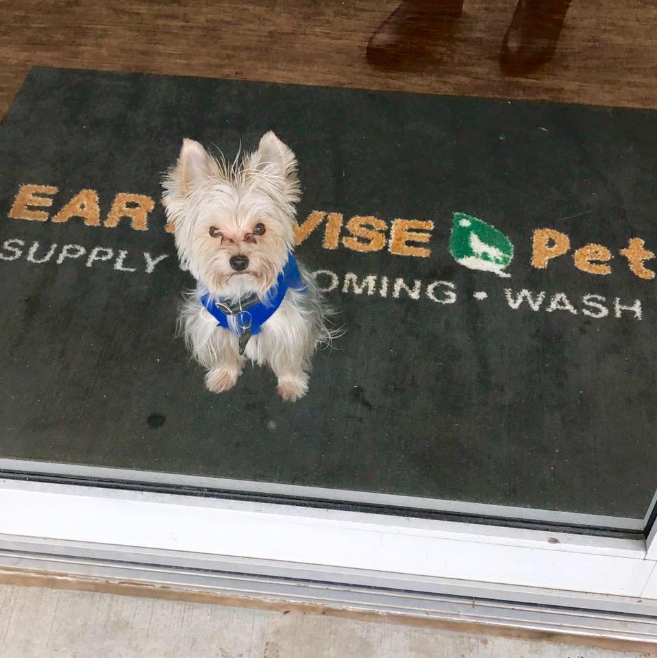 EARTHWISE PET HAMILTON RIDGE 35 Photos & 15 Reviews 3300 Hamilton