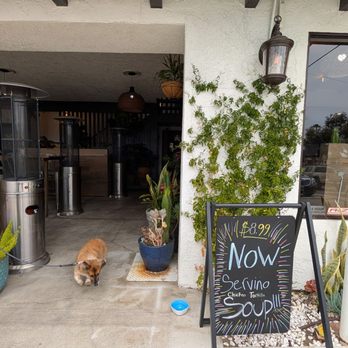 Chelas Mexican Kitchen - Front area is dog friendly - New Mexican Cuisine Near Me - San Clemente, California