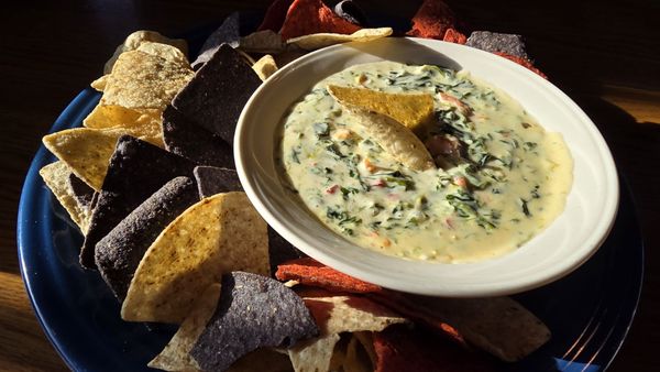 The Blue Moose Bar & Grill