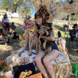 Yappi Days Pet Sitting