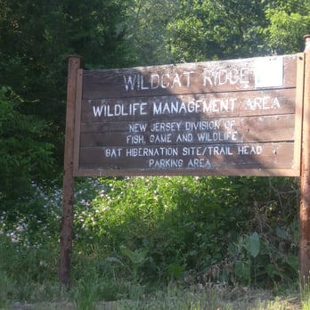 WildCat Ridge Reservation Trail - Trail sign - Hiking Near Me - Rockaway, New Jersey WildCat Ridge Reservation Trail - Trail sign - Hiking Near Me - Rockaway, New Jersey
