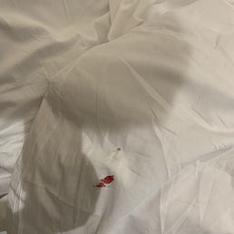 Blood stained comforter Blood stained comforter