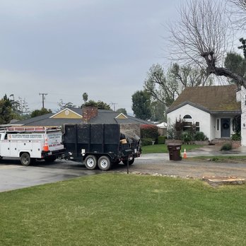 Gavino Tree Service - Tree Services Near Me