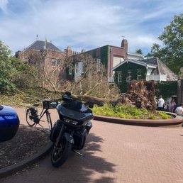 The giant tree at the entrance came down during last week's wind and rainstorm.