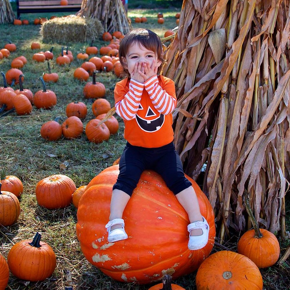 Sandbridge Chapel Day School - Preschools Near Me - Virginia Beach, Virginia