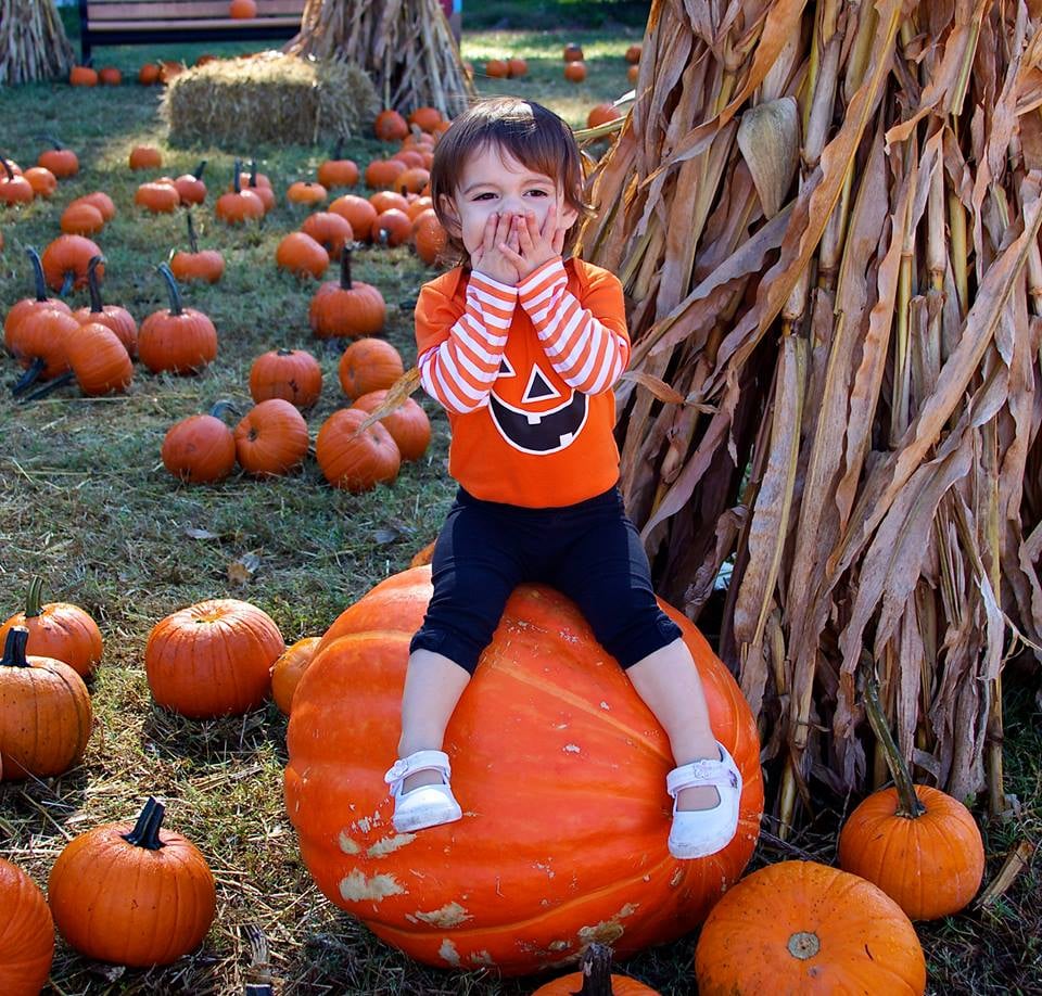 Sandbridge Chapel Day School - childcare center in Virginia Beach, VA