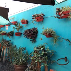 Los Reyes del Cafe - Detalles coquetos