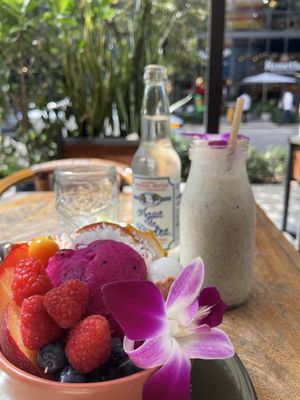 Ojo de Agua Brickell by null