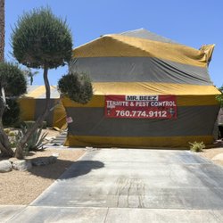 Mr. Beez Termite & Pest Control - Dry wood Termite Fumigation