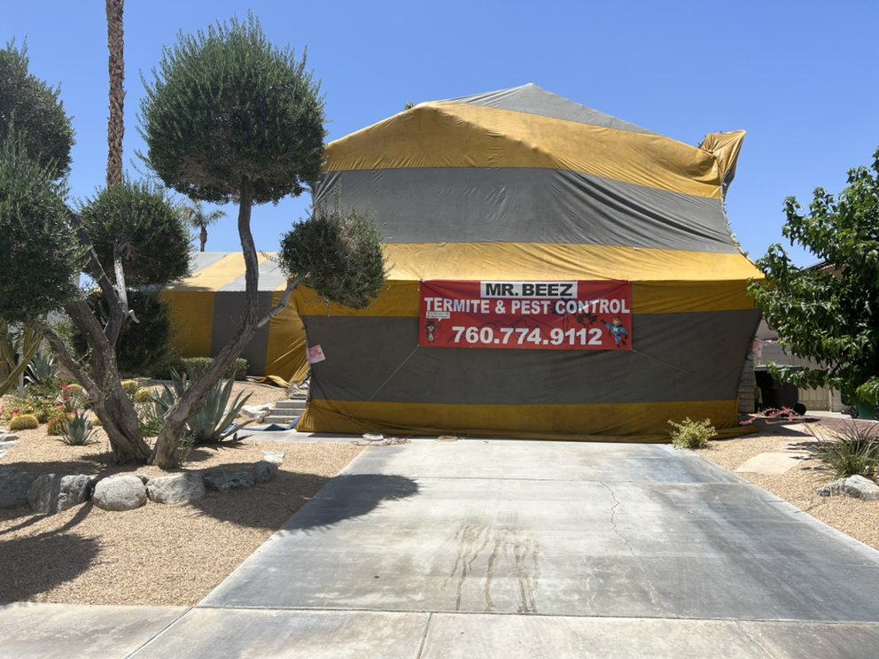 MR. BEEZ TERMITE & PEST CONTROL Updated October 2024 53 Photos