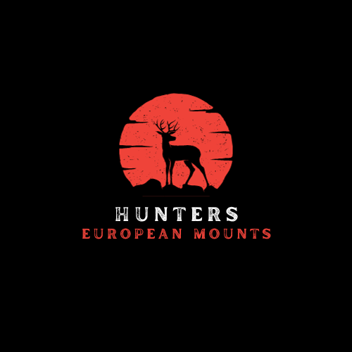 Hunters European Mounts - taxidermy in Joplin, MO
