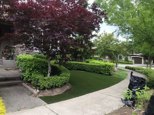 Lawn Maintenance and Clean Ups - Needing first of the year clean up or other lawn maintenance?
Call today to book your free consultation! Lawn Maintenance and Clean Ups - Needing first of the year clean up or other lawn maintenance?
Call today to book your free consultation!