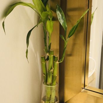 The Ritz-Carlton, Washington, D.C - Luck in the Bathroom, 3.9.2020. - Hotels Near Me - Washington, DC, District of Columbia
