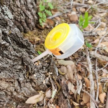 Precise Tree Care & Removal - Tree Services Near Me Precise Tree Care & Removal - Tree Services Near Me