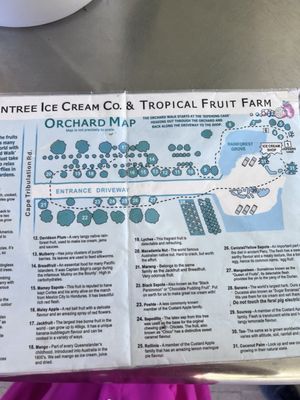 Daintree Ice Cream Company by null