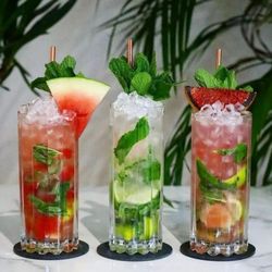 Elite Bartender Babes - Bar