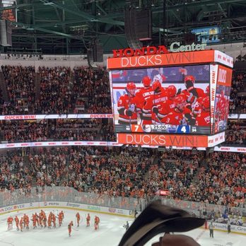 Anaheim Ducks - Celebrations from the crowd - Professional Sports Teams Near Me - Anaheim, California