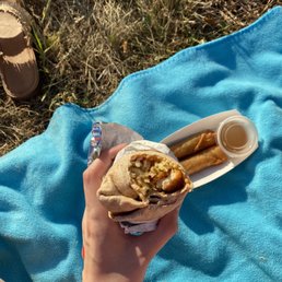 Seoul Burritos
