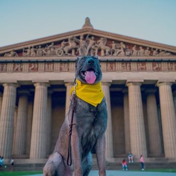 Tip Top K9 - West Jordan - Pet Training Near Me - Salt Lake City, Utah Tip Top K9 - West Jordan - Pet Training Near Me - Salt Lake City, Utah