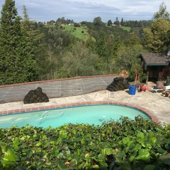 Rodriguez Garden & Maintenance - a pool in the backyard - Gardeners Near Me - Concord, California Rodriguez Garden & Maintenance - a pool in the backyard - Gardeners Near Me - Concord, California