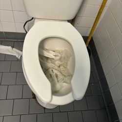 Sunoco - 10 AM on a Saturday, the other ladies bathroom stall