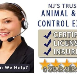 New Jersey Animal & Pest Control Specialist - We Give You A 5 Star Service!!!
