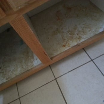 Dust Free Cleaning - BEFORE and after - Office Cleaning Near Me Dust Free Cleaning - BEFORE and after - Office Cleaning Near Me