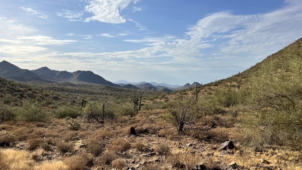 Lost Dog Wash Trailhead by null