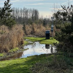 Strawberry Fields For Rover Off Leash Park - Flooded access trail