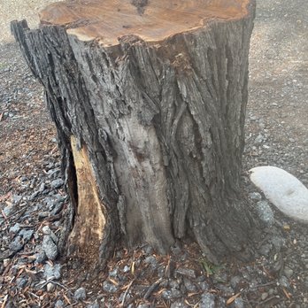 MTC Tree Care - Finished product! - Tree Services Near Me - Riverside, California