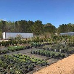 ATHENS SEED LAWN & GARDEN - Updated June 2026 - 54 Greensboro Hwy,  Watkinsville, Georgia - Nurseries & Gardening - Phone Number - Yelp