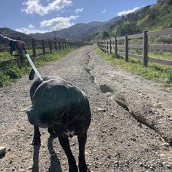 Fresno Canyon Trail