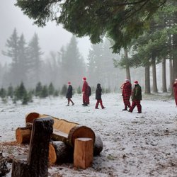 Farrell Farms Christmas Trees