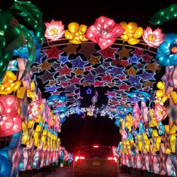 Festival Of Lights - Entrance way