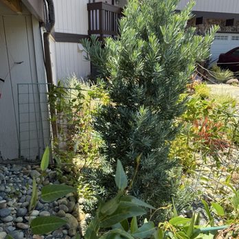 J Ruelas Landscaping - Landscaping Near Me - Saratoga, California J Ruelas Landscaping - Landscaping Near Me - Saratoga, California