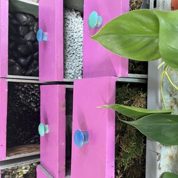 Dig It Gardens - Nurseries & Gardening Near Me - Phoenix, Arizona