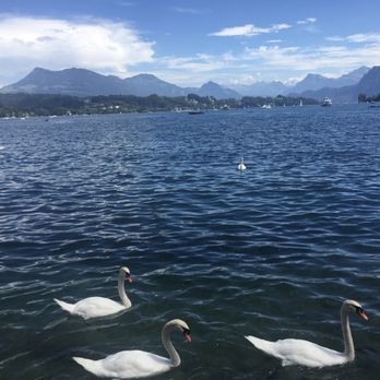 Luzern - Building Supplies Near Me