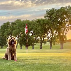 Smith Center Municipal Golf Course - Amazing Golf Course to play and you won't find a course like this to play for $10 to $15 bucks for an all day pass.
