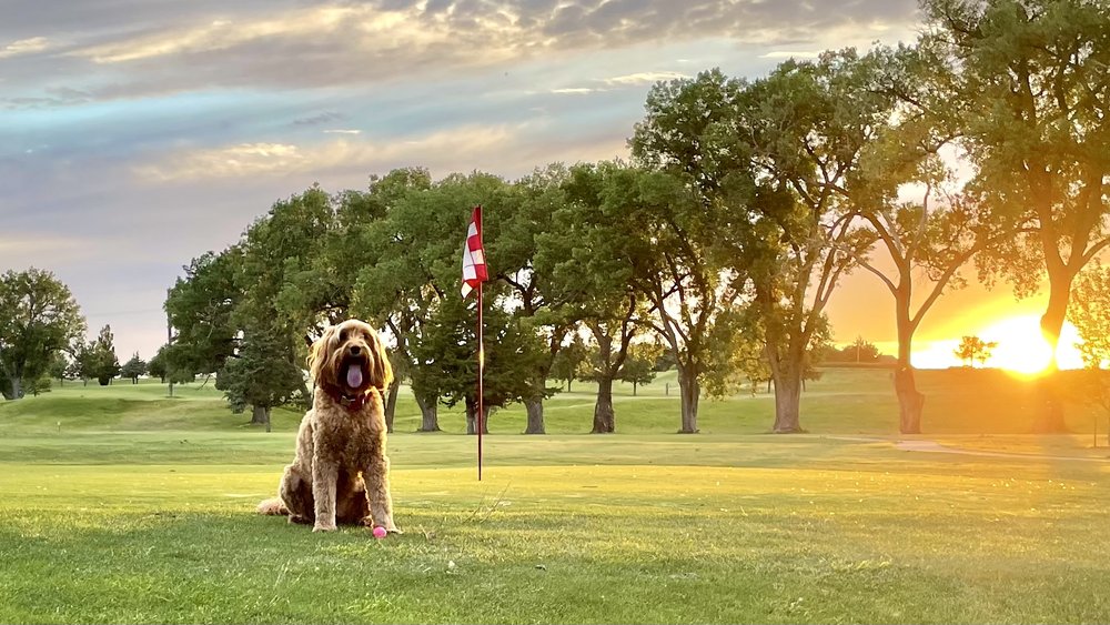 SMITH CENTER MUNICIPAL GOLF COURSE 119 W Court St, Smith Center