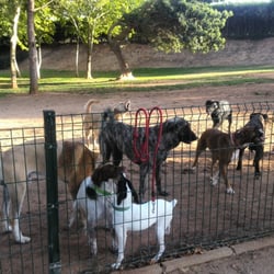 Pipican de Parque de los Pinos