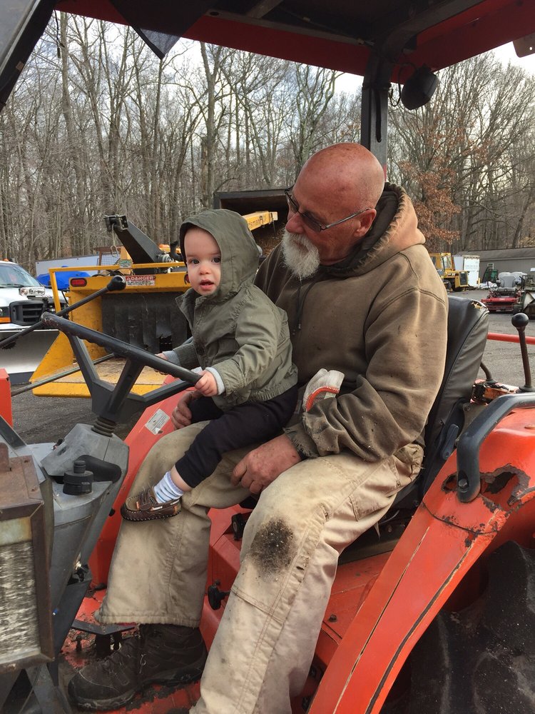 Tree Fellas - tree service in Allentown, NJ