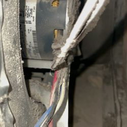 High Mountain Home Inspections - This is the interior of my furnace. This shows more then 3 months of filth collecting. Was this "missed" by my inspector? Yes!!