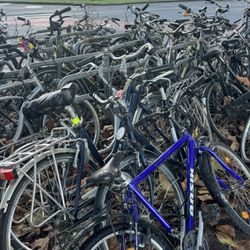 Station Gent Sint-Pieters - Bike parking at station
