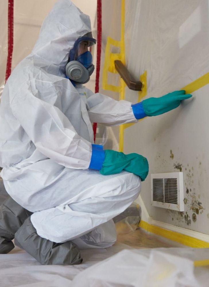 24/7 MOLD & WATER REMEDIATION Request a Quote 11 Photos West Hills, California Damage