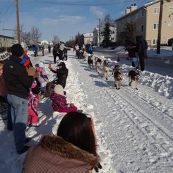 Iditarod Dog Sled Race Memorial - Some big names have passed by especially Lance Mackey.