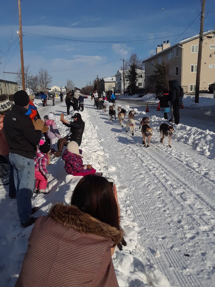 Iditarod Dog Sled Race Memorial - social services organization in Anchorage, AK