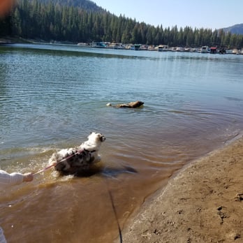 Camp Edison - Campgrounds Near Me - Shaver Lake, California